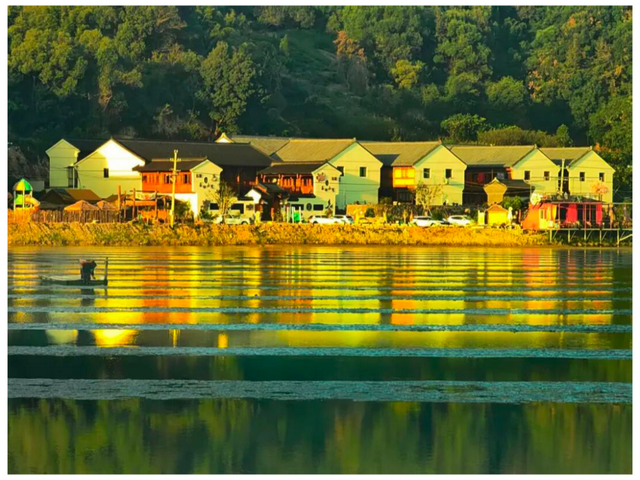 为了在这打卡，特意去了趟前岐！