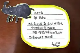 未央区枣园小学开展三年级特色作业展图片