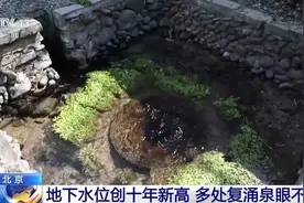 北京等多地泉水复涌 热门地点引游客扎堆打卡图片