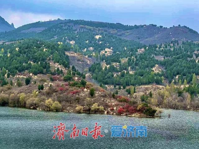 一年四季 泉在济南丨碧水映丹枫，黄巢水库秋意浓