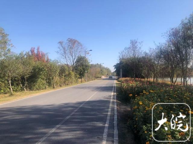 行笔江淮｜池州：家门口的路，串联美景带动产业