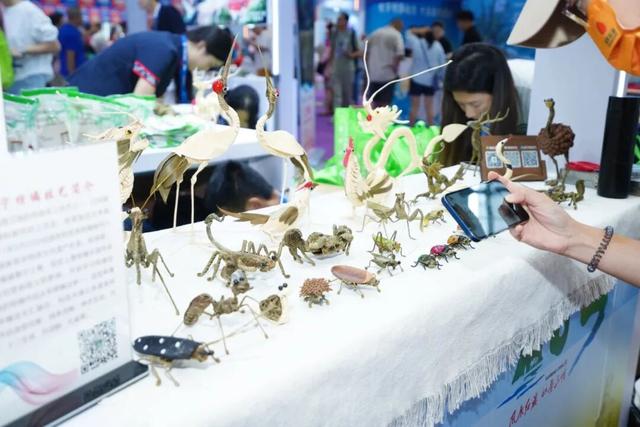 山海相约， “明”动湾区！三明文旅产品亮相广东旅博会
