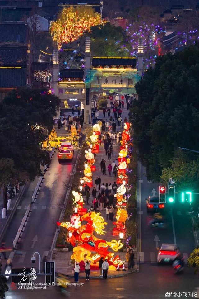 门东新“顶流”！一棵美到让全南京排队围观的树！