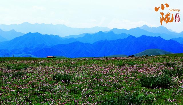 【小陇画报·388期】民乐：田畴织锦绣 沃野好风光