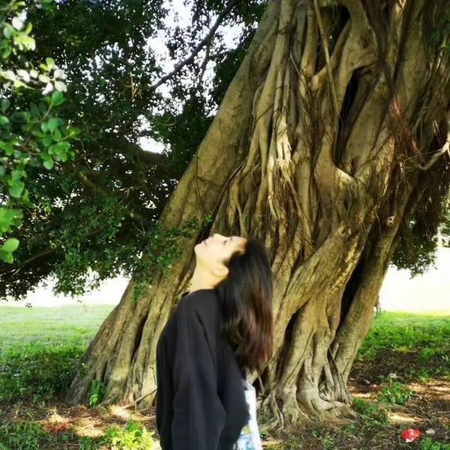 周末 ，宜回归自然！三水露营宝地推荐来了！