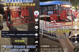 “男子要求公交车司机向狗道歉”？官方回应图片