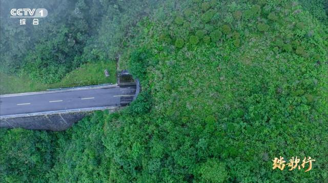 踏歌行丨走进“地球的独生子”的栖息地