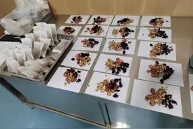 邹平市妇保院中医科推出秘制酸梅汤，健康消暑新选择图片