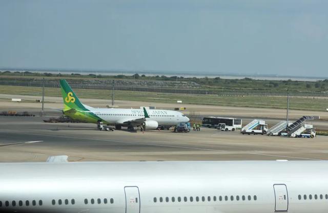 日本飞上海航班紧急返航！大批游客滞留！此时此刻，最新消息↗
