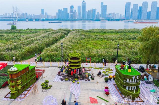 武汉金秋菊展剧透！巴公房子、黄鹤楼菊花造型惊艳