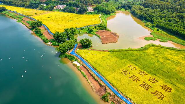 肇庆一周｜山水赋能，古郡“新生”，打造文旅名城