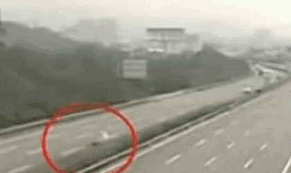 知名女星司机被曝在高速路上倒车 跟车粉丝竟还效仿？警方已介入调查！