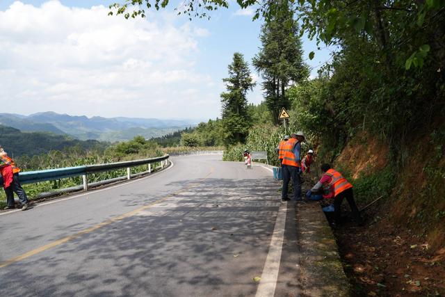 省道317线:穿行妥乐古银杏的“黄金通道”