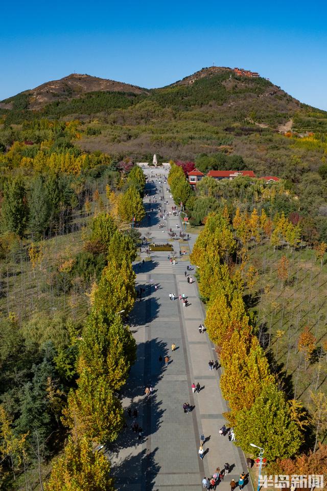 青岛故事｜五彩斑斓的秋日青岛，你怎能不爱？