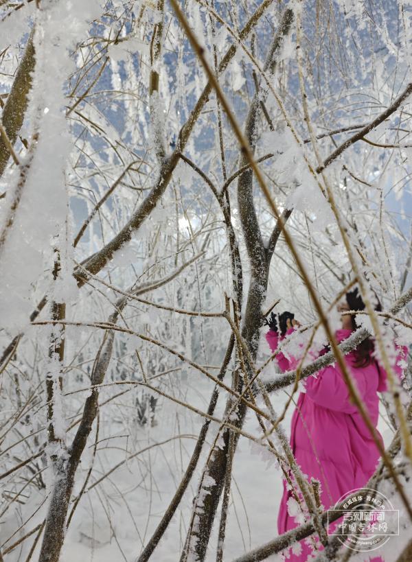 雪假余额还有4天，来吉林咱就这么玩儿！