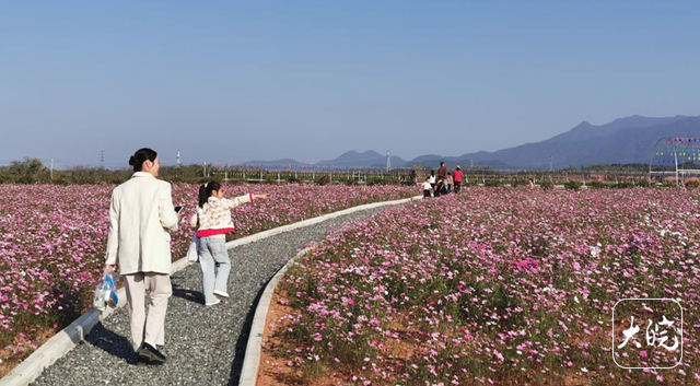 池州东至：废弃矿山变身休闲乐园