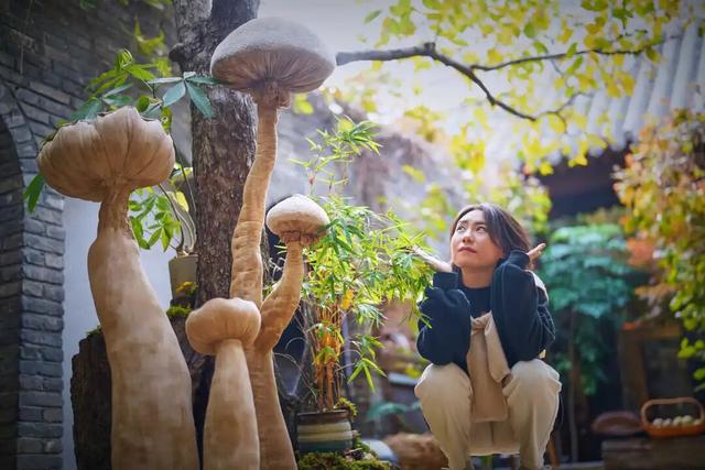 来东城这个胡同小院，邂逅蘑菇精灵的童话秘境——