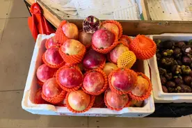 价格暴跌！不少台州人爱吃的它，每斤从上百元跌至10元内图片