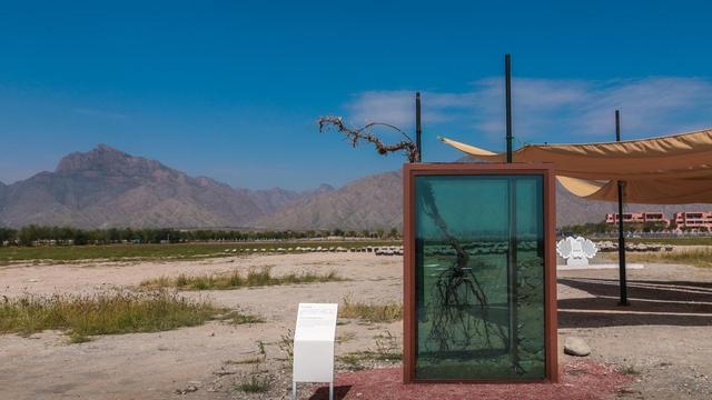 2025首届葡萄酒风土文化双年展在宁夏启幕