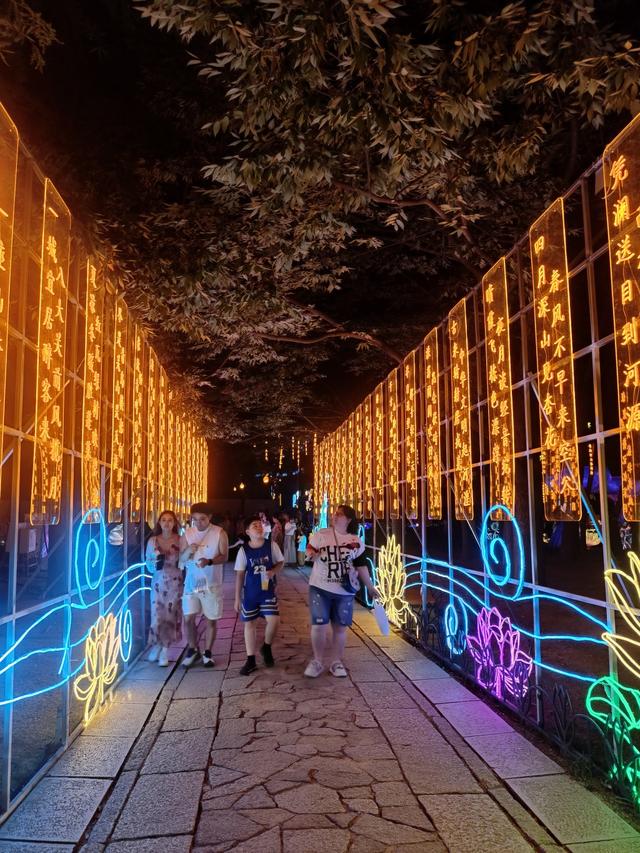 灯光一亮，秒变童话世界！2025年“青岛之夏”艺术灯会启幕成夏夜顶流