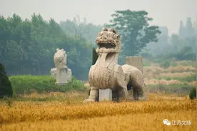 他为何“指鹿为麟”？图片