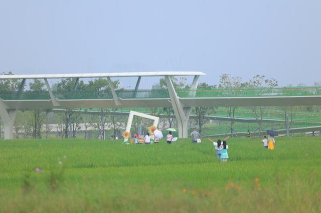 双节同庆！大泽湖近自然湿地公园“Ai在大泽湖 家国共欢腾”活动启幕