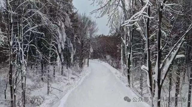 净月潭新地标冲刺收尾！1677米“森林穿越雪飘流”即将开滑！