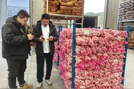 贵州大蒜首闯“土豪圈”！《人民日报》关注：78吨黔货破冰中东图片