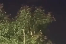 新疆多地现不明飞行物，目击者称和月亮一样亮，几秒内突然加速消失，气象部门回应图片