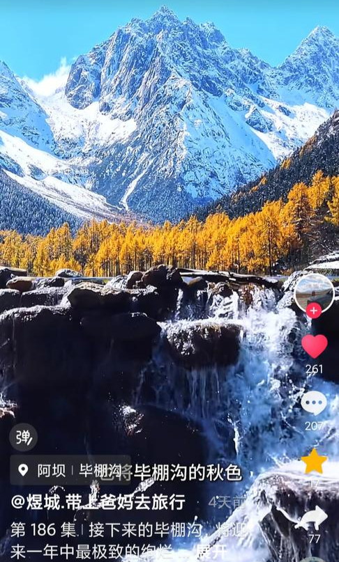 “川西的秋阳点亮了这一湖星辰” 博主带父母打卡毕棚沟引共鸣丨我心目中的锦绣天府安逸四川