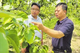 运河新画卷  明月满沧州图片