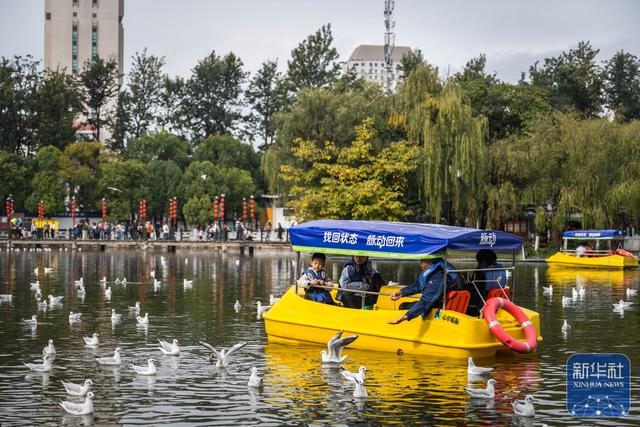 昆明：初冬春城引游人