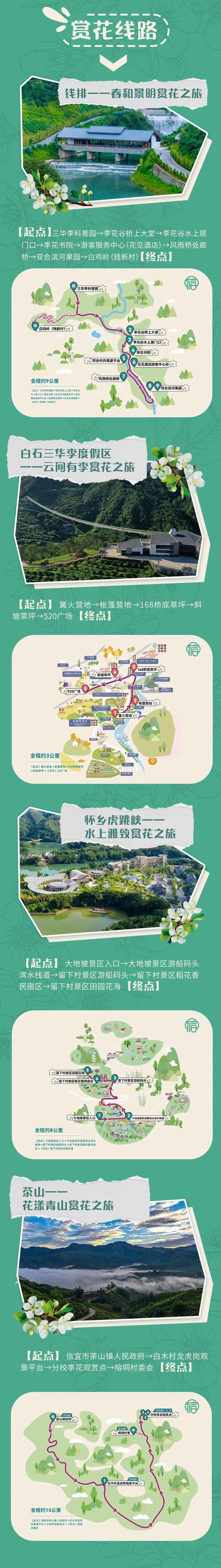 从早玩到晚！2026年信宜李花节的“超长待机”玩法→