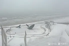 图集|烟台再迎降雪，游人雪中打卡“孤独的鲸”图片