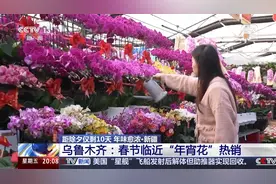 最是人间烟火处！去各地感受不一样的年味儿图片