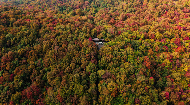 全国第二，南京栖霞山！