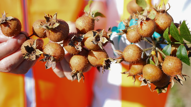 最全攻略，超全玩法！西秀区推出上百场“冬民俗”系列活动！