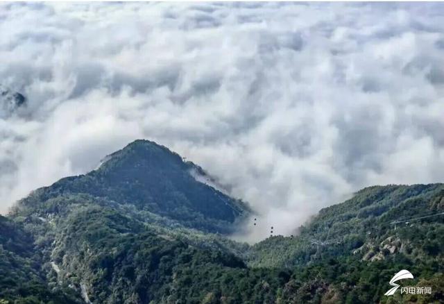 组图丨泰山秋韵：当云海吻过山林 是独属于十月的浪漫