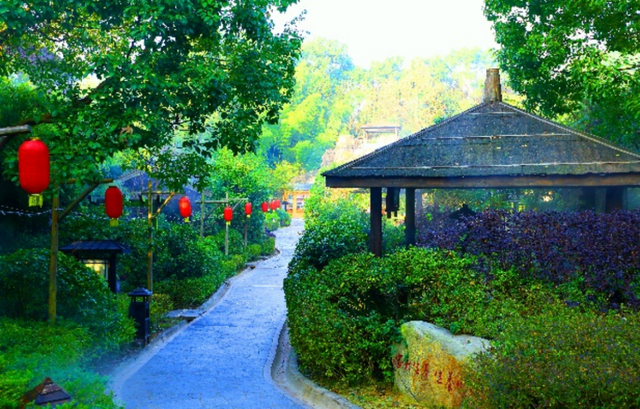 湖南绝美银杏打卡地，太出片了