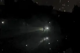 报价170元/斤！正大量出现！网友：天天抓，吃不完图片