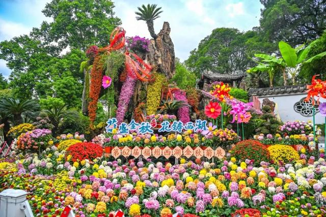除了看菊花展，福州西湖公园还能怎么逛？