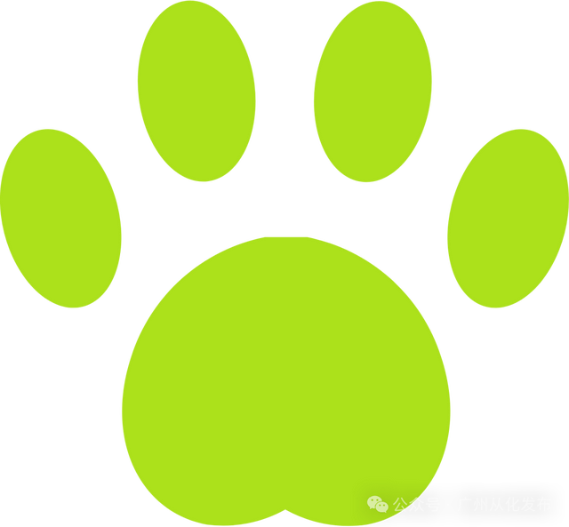 国庆假期去哪玩？从化温泉邀你解锁“农文旅体商”狂欢！