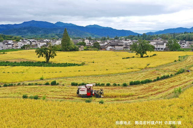 【早安，黄山】黄山市旅游一卡通年票（江浙沪版）今日开售 ‖ 屯溪区老旧小区改造稳步推进