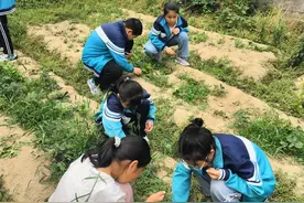 谷城盛康镇双堰中心小学开展田间科普实践活动 探索自然奥秘图片