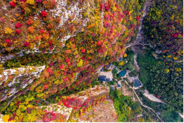 送你一份赏“红”地图 邂逅山东醉美秋色