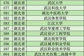 全国试点！武汉12所院校入围图片