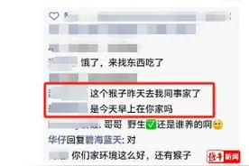 “头一回见！”一只猕猴闯入市民家中摘玫瑰！专家提醒图片