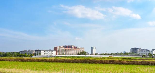 周末出发！打卡东莞市区这些「治愈系」风景