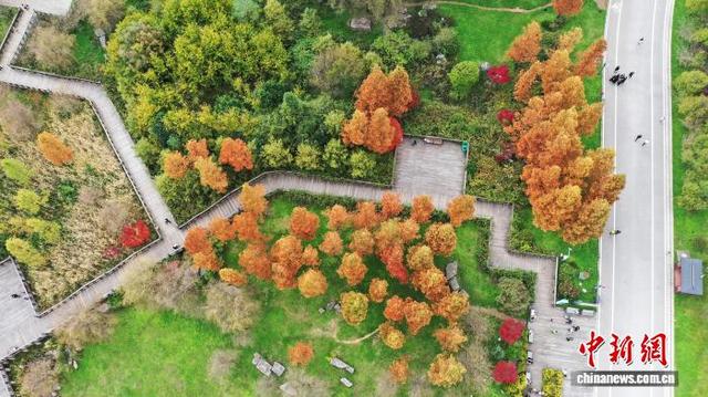 贵州草海北坡公园迎秋冬季最佳观赏期