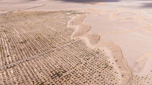 蚂蚁集团井贤栋在IUCN大会致辞：科技普惠、科技守护自然是蚂蚁对未来的承诺